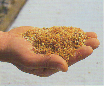 自然環境を救うホーラ剤